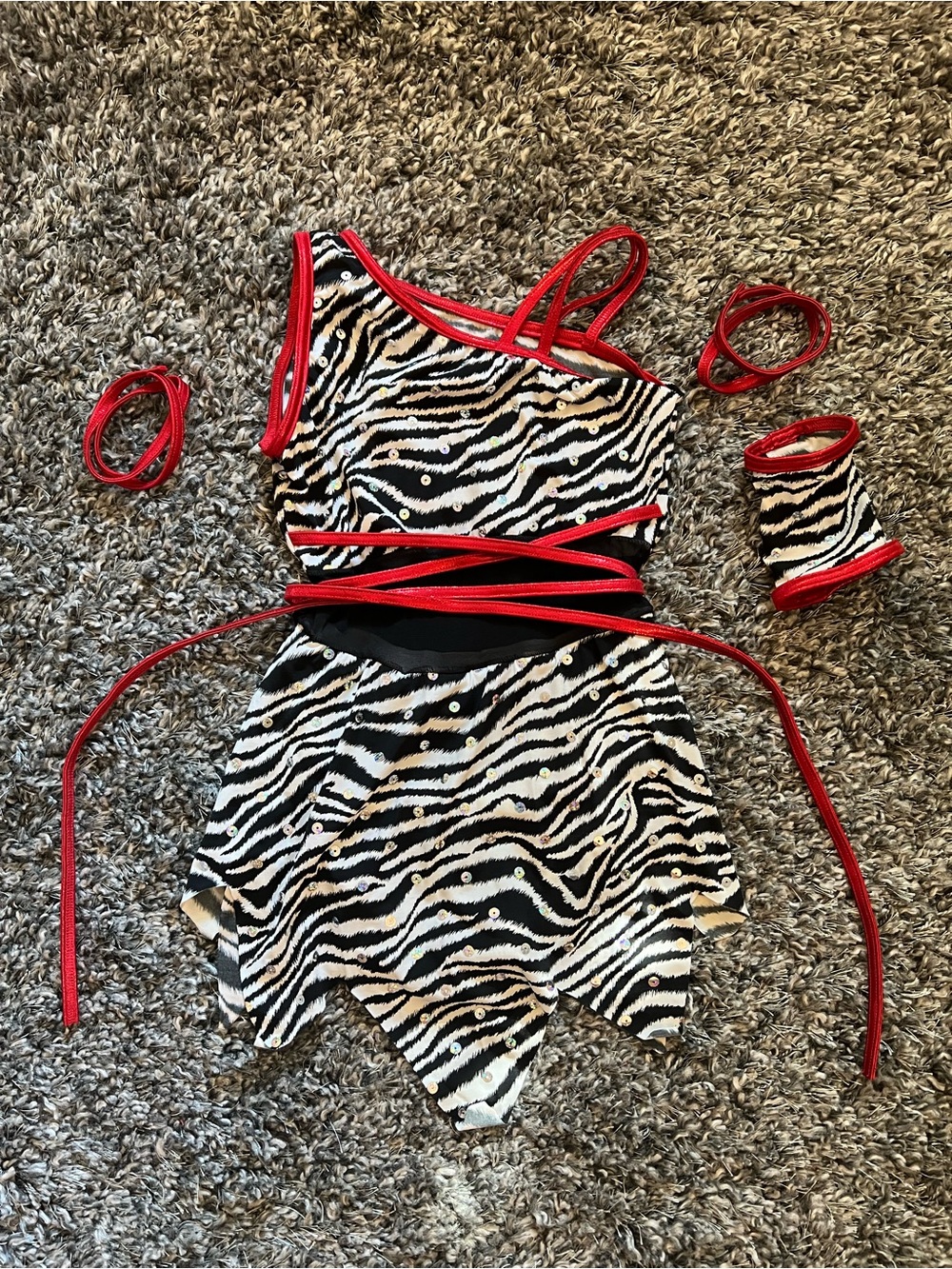 Jungle/Zebra Print Dance Costume - Child Medium